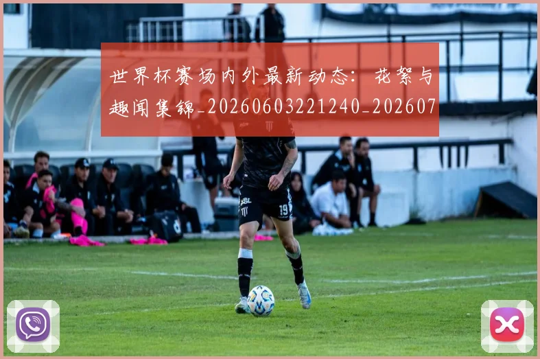 世界杯赛场内外最新动态:花絮与趣闻集锦_20260603221240_20260703203845