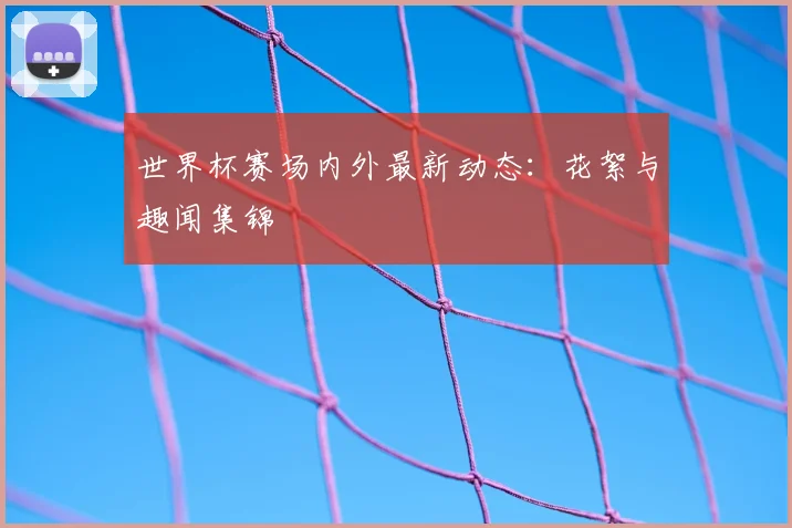 世界杯赛场内外最新动态:花絮与趣闻集锦