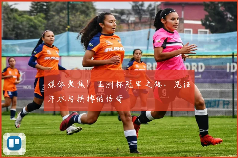 媒体聚焦！亚洲杯冠军之路，见证汗水与拼搏的传奇